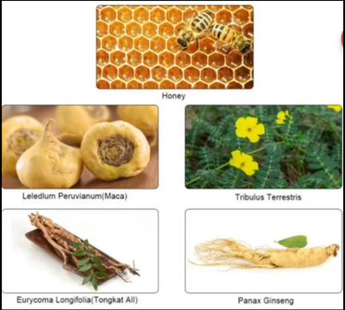 VIP Royal Honey